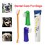 Ouniondo Chien Brosse A Dents Doigt Dentifrice Kit Dentaire Pour Animaux Soins De Sante Bucco Dentaire Poi4497 Achat Vente Kit Vetement Ouniondo Chien Brosse A Cdiscount