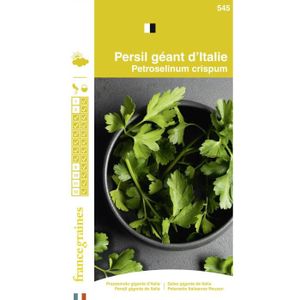 UNWINS paquet illustré-Herb Persil Italien plaine est partit 700 graines