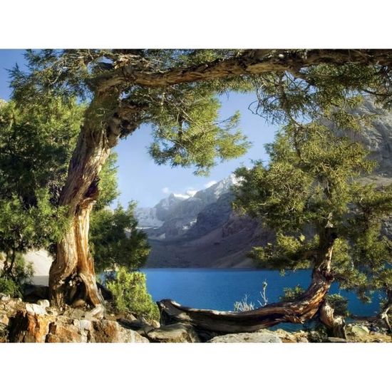 AG Design 4 Peintures Murales Avengers Marvel - Papier Peint Photo Géant 360x254 Cm Avec Colle