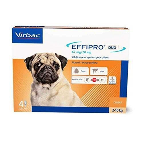 Effipro Duo Chien 2-10 kg 4 pipettes