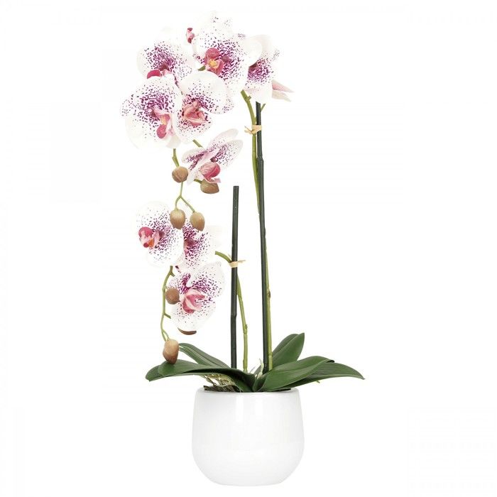 Ligne Déco - Orchidée blanche rose fuchsia artificielle - 51 cm - -toucher réel- - 2 branches en fleurs - pot céramique blanc -