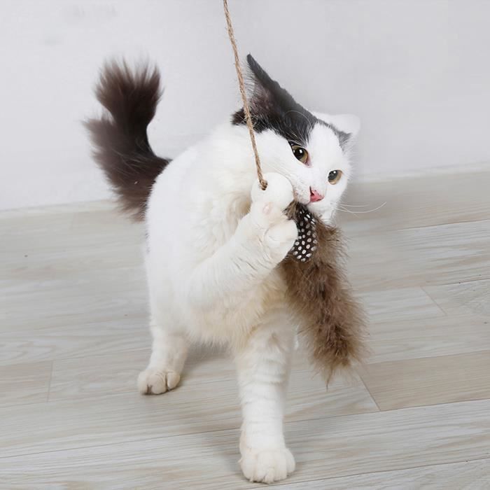 cm Jouet Pour Chat Jouet Pour Chat Canne A Peche Jouet Pour Chat Interactif Pour Animaux De Compagnie Plume Clochette Brun Cdiscount cm Jouet Pour Chat Jouet Pour Chat Canne A Peche Jouet Pour Chat Interactif Pour Animaux De Compagnie Plume Clochette Brun Cdiscount