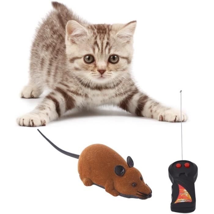 Jouet Télécommandé - Créatif - Souris en Plastique - Marron - Pour Enfants et Animaux - Simulation Réaliste