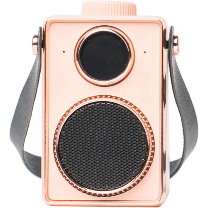 Nouvelle Radio Portable Radio Dab-Dab+-Fm Vintage Petit Haut-Parleur ...