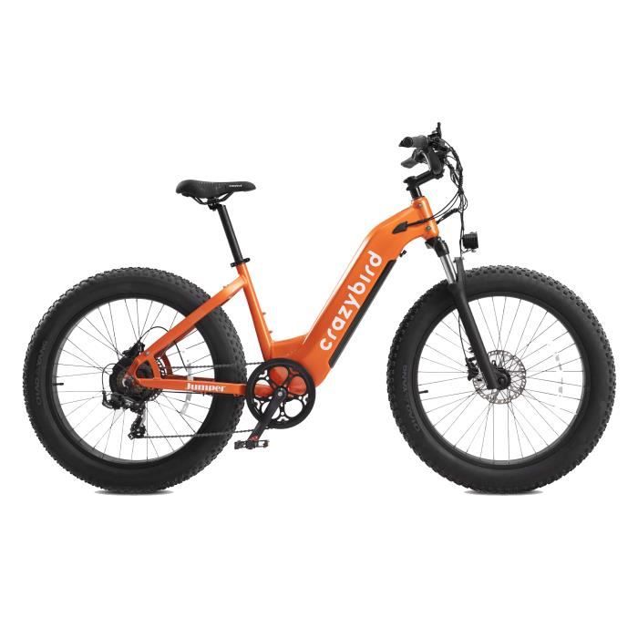 Velo electrique deals rossignol homme