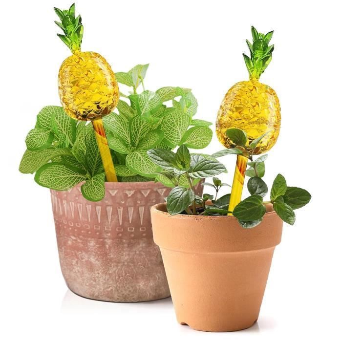2 Arroseurs Automatiques Pour Plantes - Forme Cœur 500ML - Cône Argile - Irrigation Vacances - Transparent