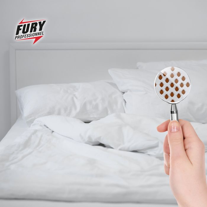 Fury barrage à insectes professionnel 5L - Punaises de lit