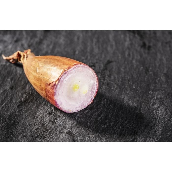 250 Graines D'oignon Rouge De Brunswick - Variété Tardive, Saveur Douce Et Sucrée, 100% Reproductibles