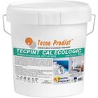 TECPINT CAL ECOLOGIC de Tecno Prodist - Peinture extérieure et intérieure à la chaux à l'eau, naturelle 5 Kg - Blanc