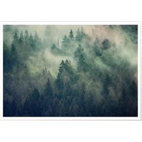 Poster Panorama Forêt Brumeuse 50x35 cm  - Imprimée sur Poster avec Passepartout -  Tableau Nature