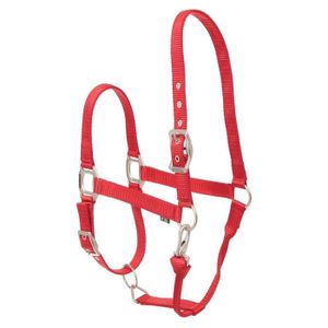 PFIFF COB Licol en Nylon pour Cheval