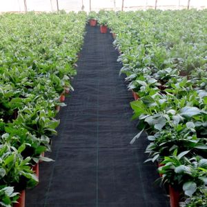 NATTE ANTI-VÉGÉTATION Toile anti mauvaises herbes - VEVOR - 91,4 x 1,83 m - Tissu Polypropylène - Noir - Rectangulaire
