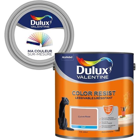 Ma Couleur Sur-mesure Par Dulux Valentine – Peinture Intérieure Murs, Plafonds, Boiseries - Finition Parfaite - 98% D'opacité - Mat Beige Parfait 10 L - Palette Intemporelle