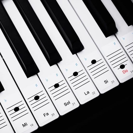 Autocollants pour clavier de piano pour 88/61/54/49/37 touches,  autocollants de notes de piano lettres amovibles et claires pour clavier de piano  pour enfants débutants (noir et blanc) 
