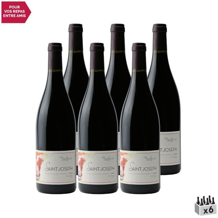 Saint-Joseph Rouge 2019 - Lot de 6x75cl - Pierre Gaillard - Vin AOC Rouge de la Vallée du Rhône - Cépage Syrah