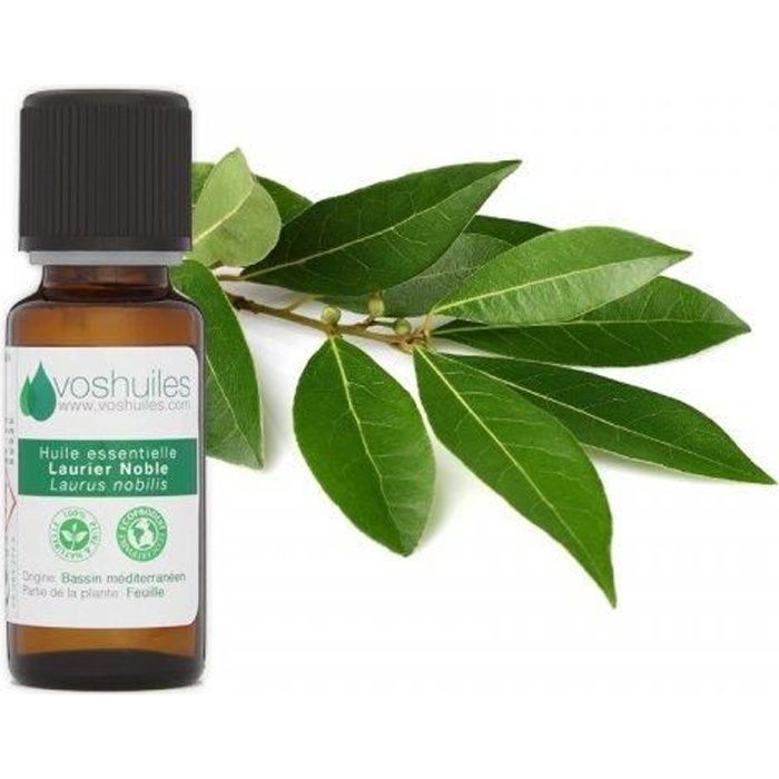 Huile Essentielle de Laurier Noble 10ML
