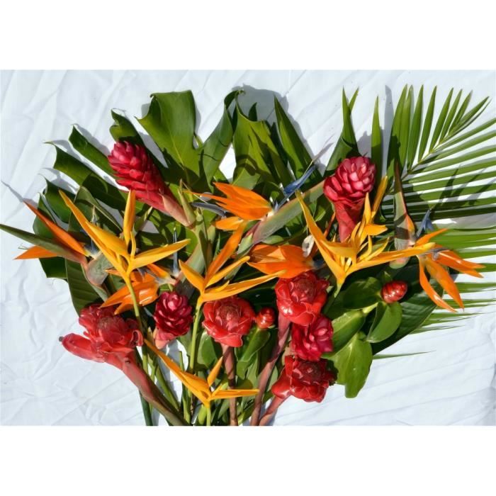 Colis fleurs exotiques de la Réunion 15 fleurs - Cdiscount Jardin