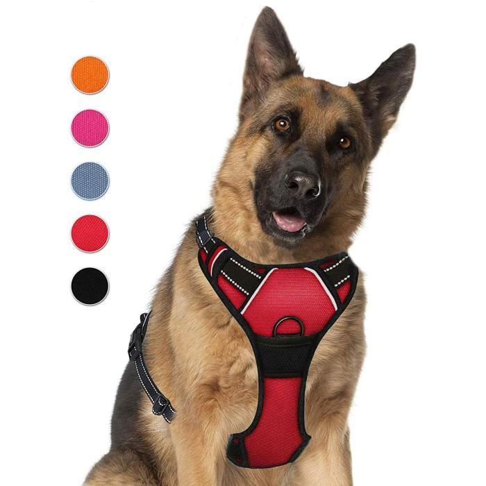 Harnais veste pour chiens Supet Harnais pour Chien Aucune Traction 