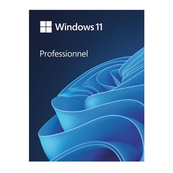 Microsoft Windows 11 Professionnel 64 bits (français)