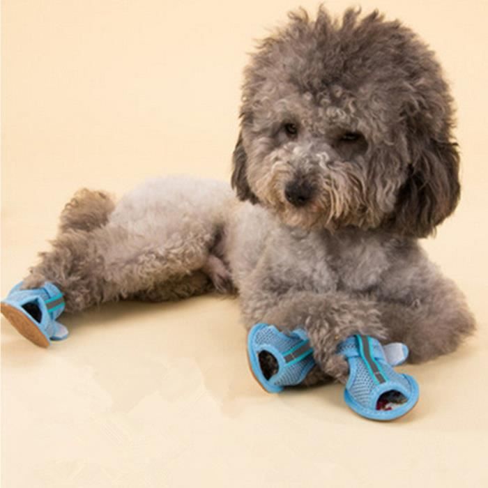 Chaussures d'été de chien de mode chaussures en ma Chaussures d'été de chien de mode chaussures en ma
