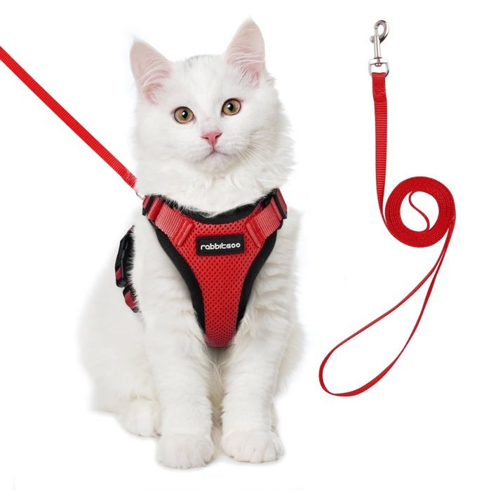 Meilleurs prix pour Rabbitgoo Harnais Chat/Harnais pour Chat/Laisse Harnais Chat Rouge XS Collier Harnai Chat Réglable Respirant Respirant avec Laisse