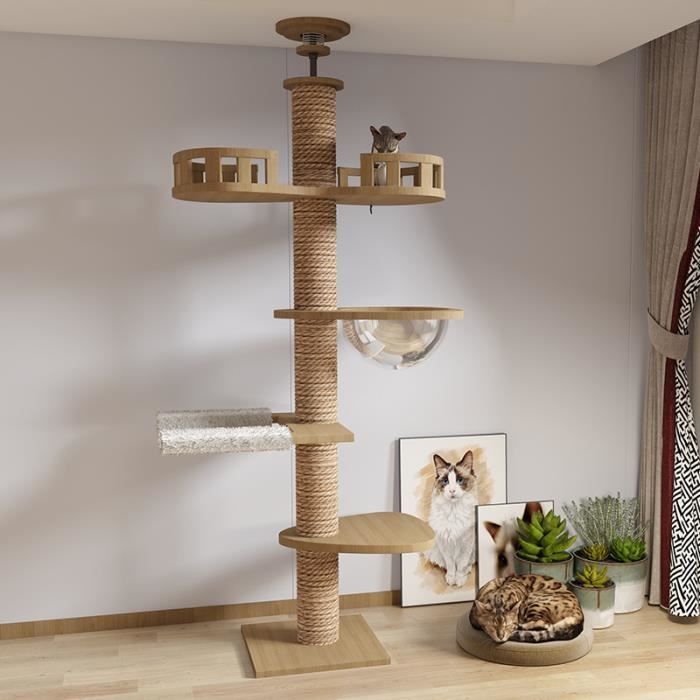 Meilleurs prix pour ROBIN Arbre à chat XXL 250CM Bois clair Beige Griffoir Tronc Plateformes Hauteur ajustable