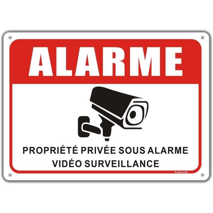 Panneau Video Surveillance Aluminium Réfléchissante 250X180Mm Panneau