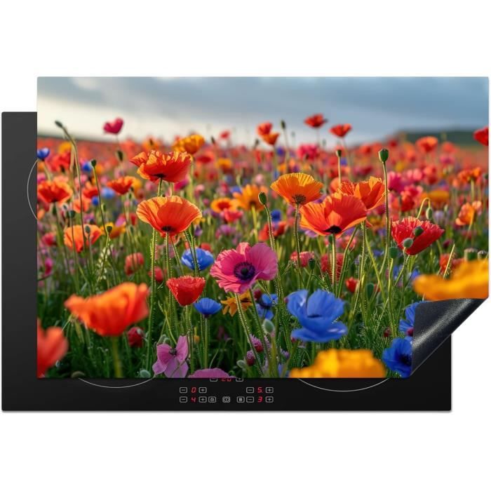 Ehskzjh © Protection Plaque Cuisson Deco Cuisine Cache Induction 59X52 Cm Protege Pour