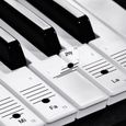 Faburo 2pcs Autocollants amovibles pour notes de piano Stickers transparents pour Clavier de piano 54,61,88 touches et 2pcs Chif-1