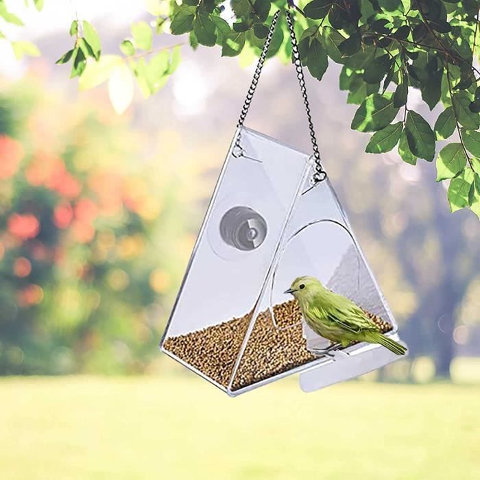 Acheter Mangeoire à oiseaux à fenêtre transparente avec ventouse de caméra  Wifi, mangeoire à oiseaux ronde transparente intelligente avec 16 go