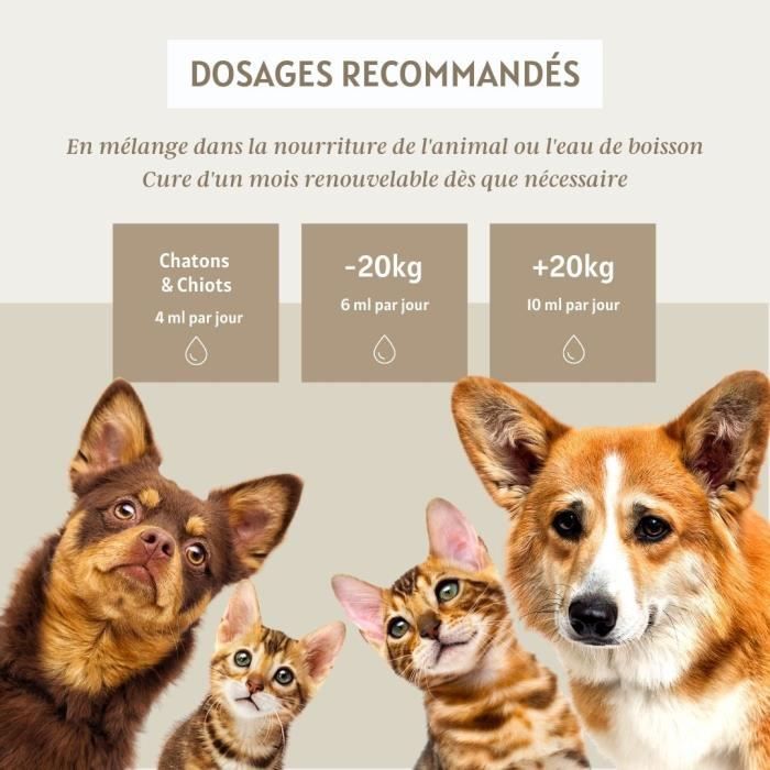 Complexe Confort Urinaire Naturel 200ml Diurétique Pour Chiens — free download