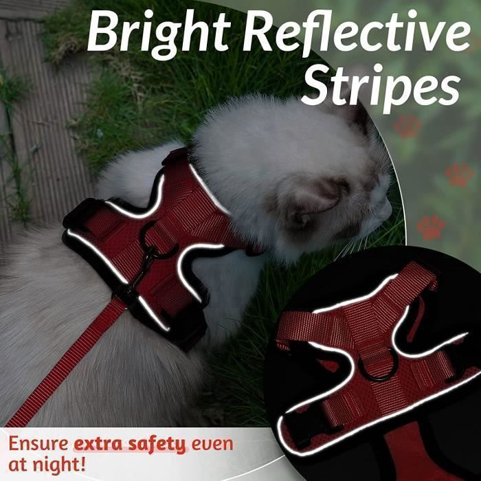 Harnais Réfléchissant Pour Chat Avec Laisse Rétractable 3m - Taille M, Respirant Et Ajustable, Pour Chatons Et Petits Chiens