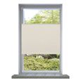Fenetre 50x100