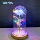 FUIENKO Rose Eternelle et lumière LED "La Belle et la bête" Rose Eternelle sous Cloche Coloré