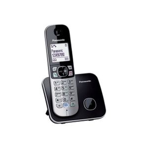 Téléphone fixe Téléphone sans fil PANASONIC KX-TG6811GS - Gris - 