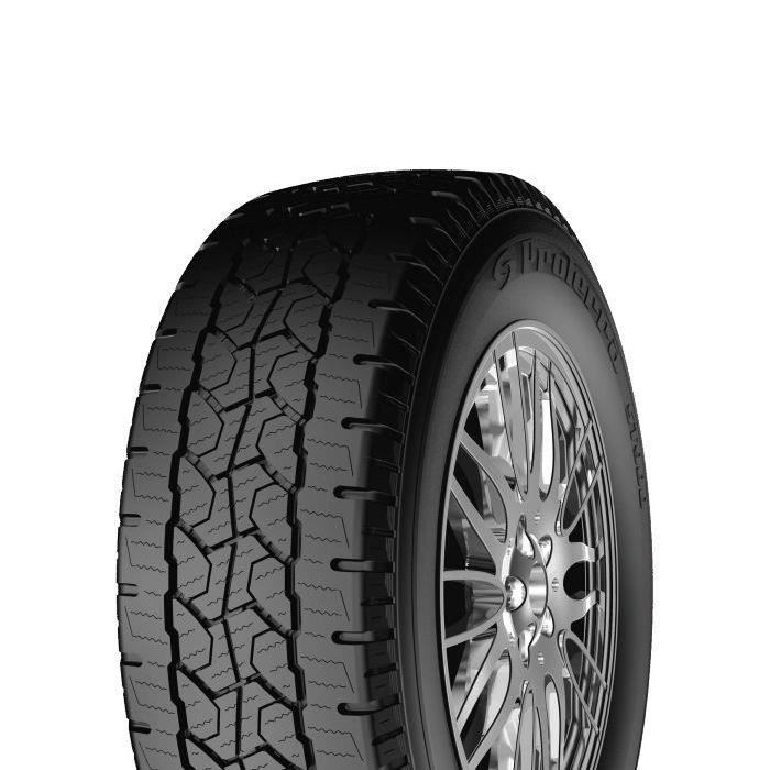 STARMAXX ProTerra ST900 C 205/65 R16 107 T Pneu Hiver