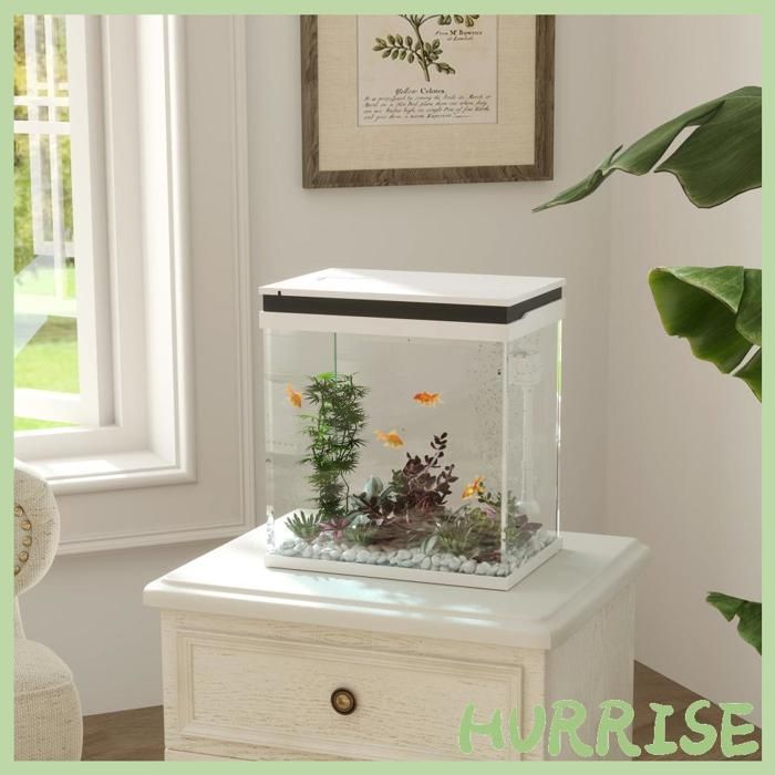 Cocosity Petit Aquarium Complet 14L Aquarium En Verre Avec Système De Filtration Éclairage Led Pompe À Eau 30 X 20 X 33 Cm Blanc