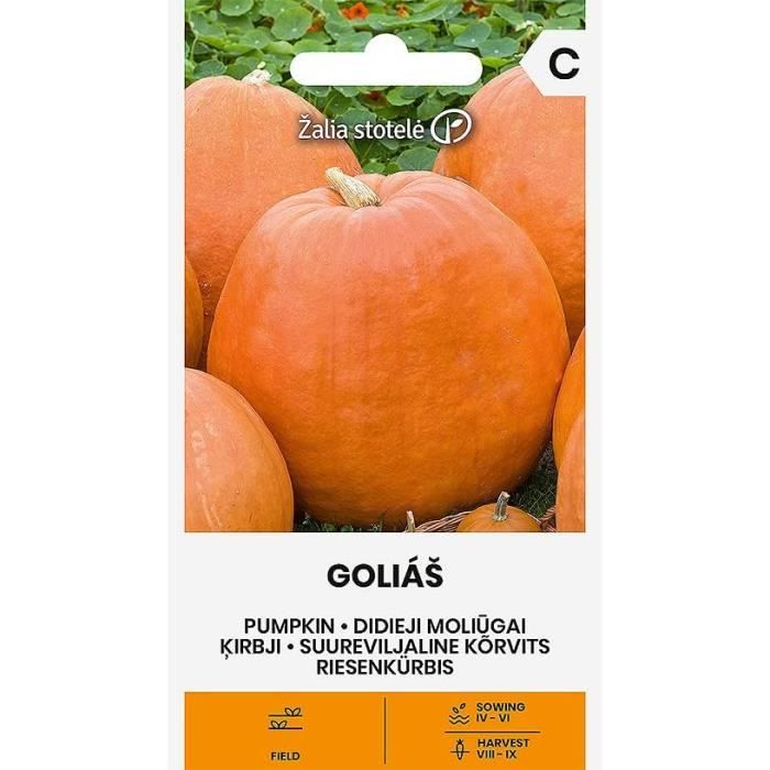 Graines De Chou Blanc Cerox H - Variété Hybride, Récolte En 79 Jours, Têtes Jusqu'à 3 Kg | Pour Jardin Potager, Résistant à La Chaleur Et Fusariose