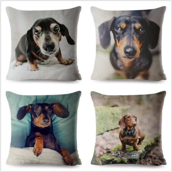 Personnalisé lisse teckel saucisse chien anniversaire toute occasion carte insert Personnalisé lisse teckel saucisse chien anniversaire toute occasion carte insert