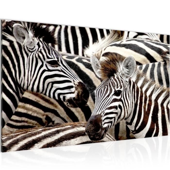Tableau Toile Photo Zebre D Afrique Decoration Murale 70 X 40 Cm Toison Toile Xxl Salon Appartement Gris Pret A Accrocher 000814a Achat Vente Tableau Toile Cdiscount