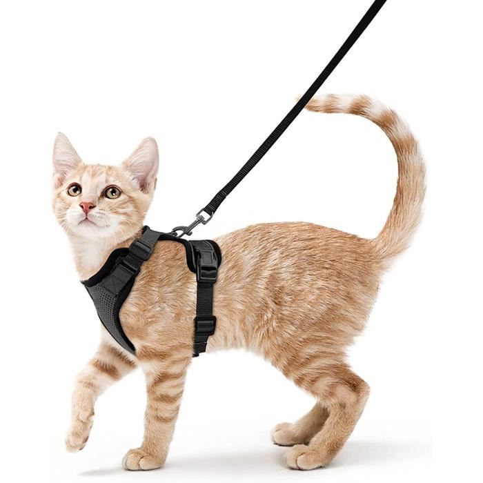 Meilleurs prix pour Petit Chien Chat Harnais Réglable Chaton Harnais Réfléchissant Chat Harnais Collier Respirant Gilet Avec Laisse - Noir S