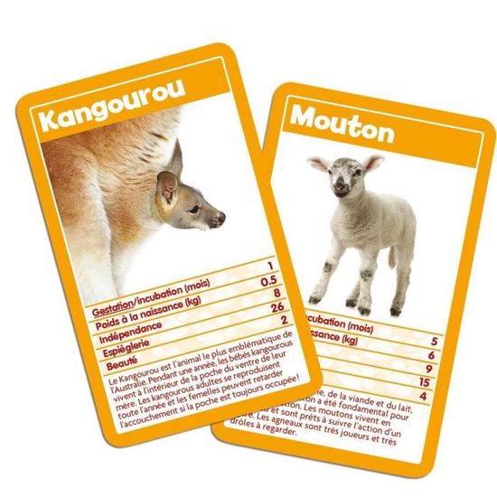 Winning Moves Jeu De Bataille Bebe Animaux Cdiscount Jeux Jouets Winning Moves Jeu De Bataille Bebe Animaux Cdiscount Jeux Jouets