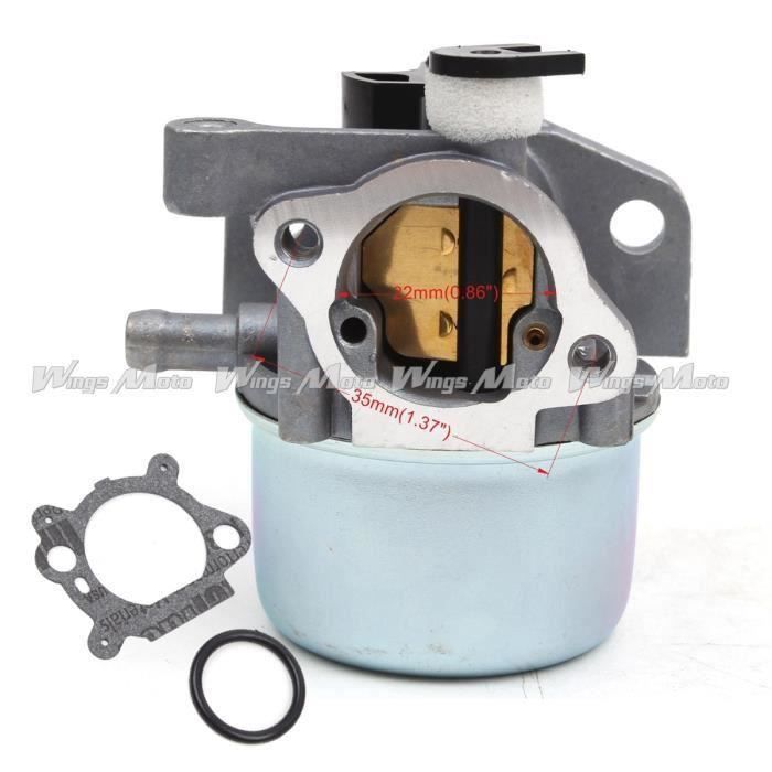 Carburateur Pour Briggs& Stratton 794304 796707 799866 790845 799871