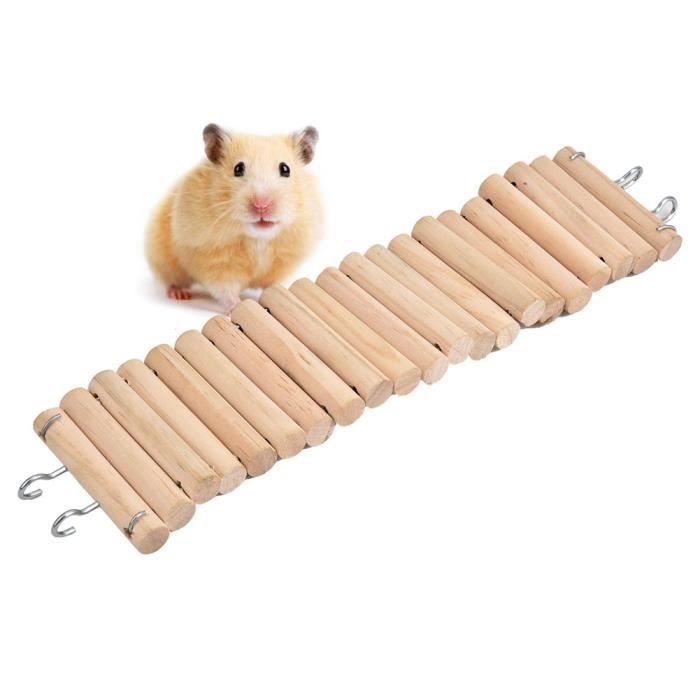 Image showcasing KEL Hamster ours doré écureuil perroquet bûche petite planche route ...