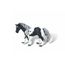 ponycycle cdiscount