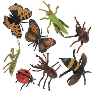 Kit d'observation des insectes pour enfant Navir - 35,90€