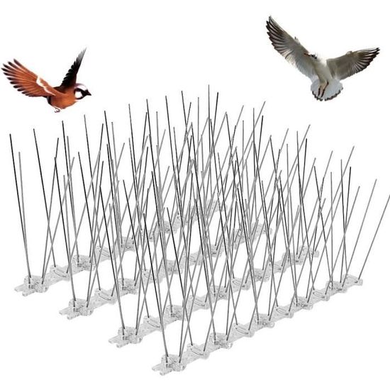 Pic Anti-Pigeon Acier Inoxydable 6.6m AOKKR - 20 Piques Anti-Oiseaux Respectueux Animaux