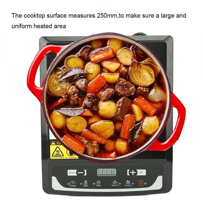 2000W Plaque Induction Portable - Table de cuisson à induction à commande tactile--LIZ