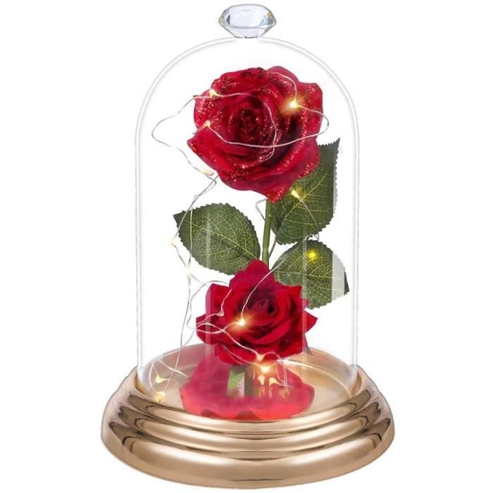 Rose Eternelle sous Cloche,La Belle et La Bête Rose Fleur Artificielle Avec  Lumineuse LED Rose Enchantée Dôme718 - Cdiscount Maison