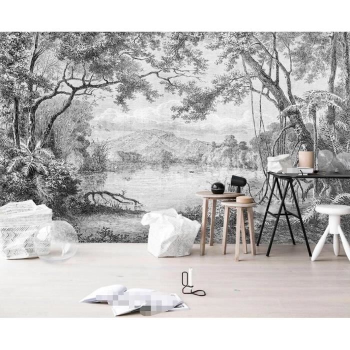 Papier Peint Panoramique 3D Forêt En Noir Et Blanc Jungle Peinte À La ...